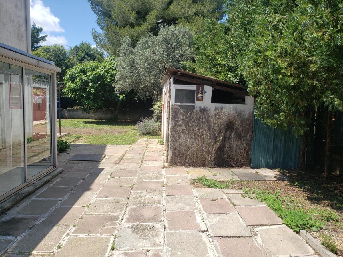 Orteils Au Soleil Jardin Parking Nîmes Extérieur photo
